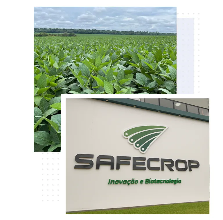 Safecrop